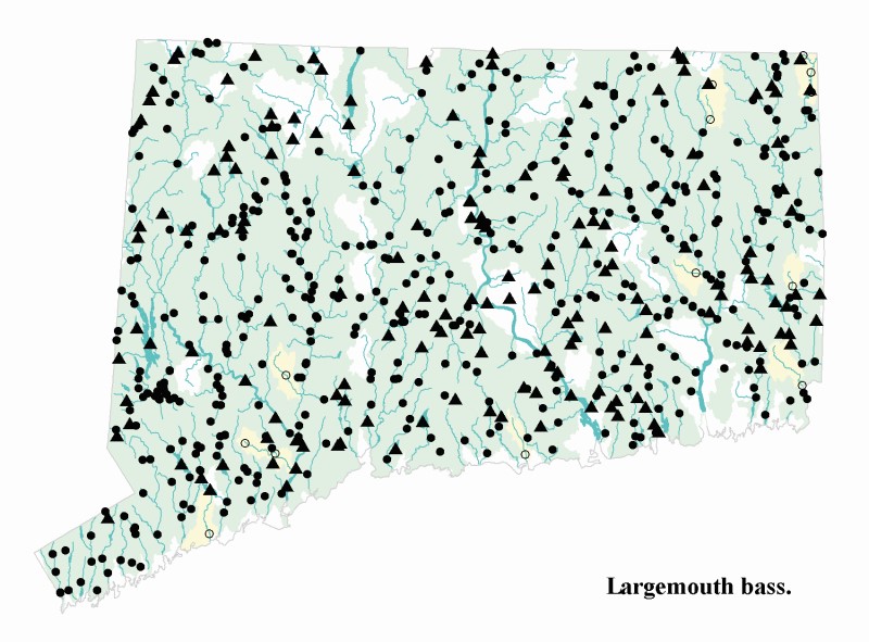 Largemouth bass distribution map.