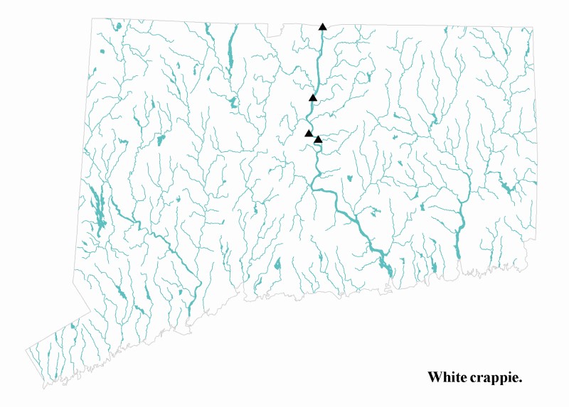 White crappie distribution map.