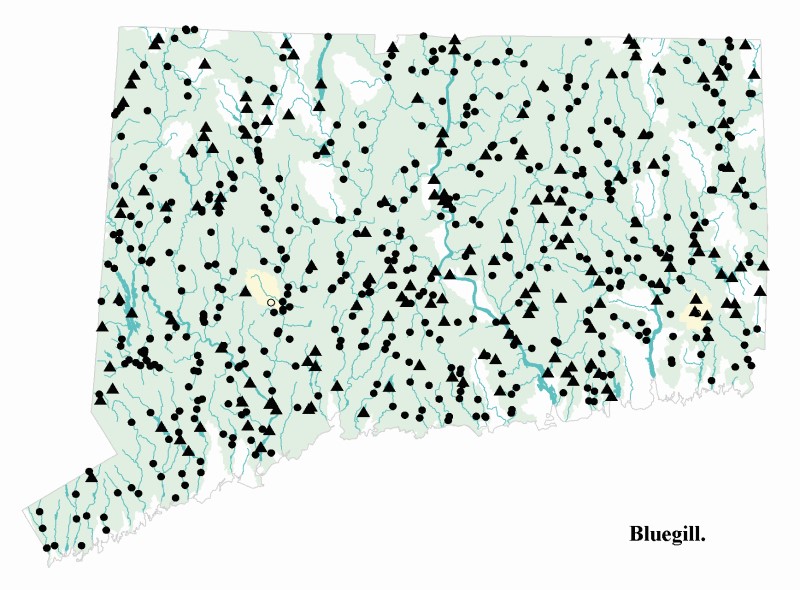 Bluegill distribution map.