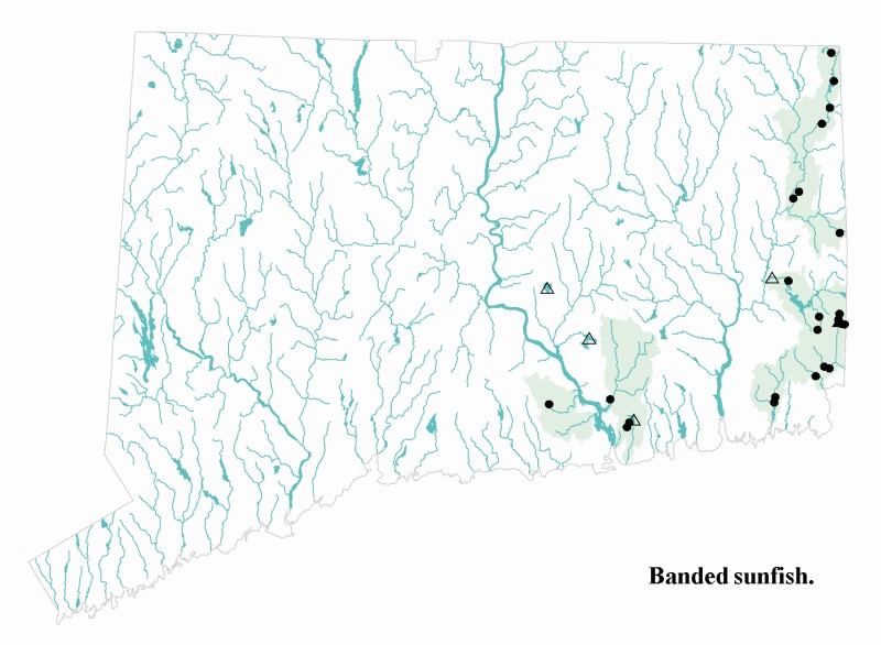 Banded sunfish distribution map. 