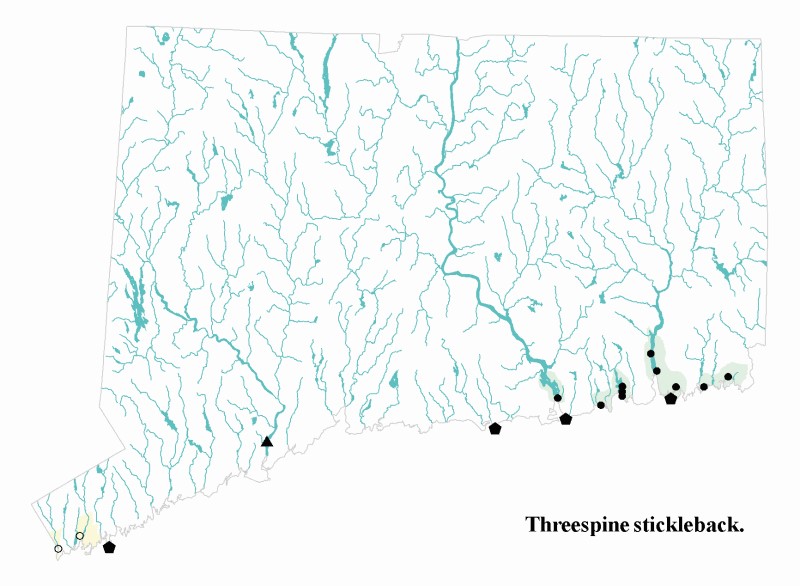 Threespine stickelback distribution map.