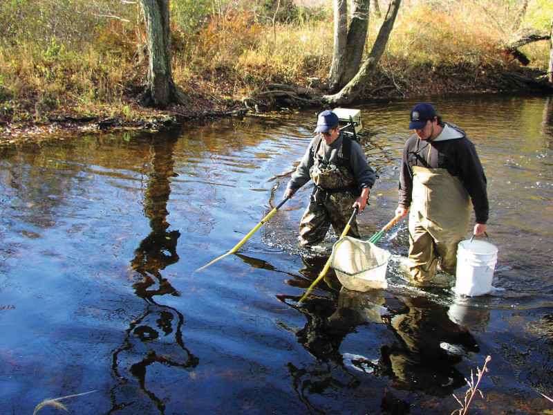 Fisheries biologists use backpack electrofishing gear to sample fish in small streams.