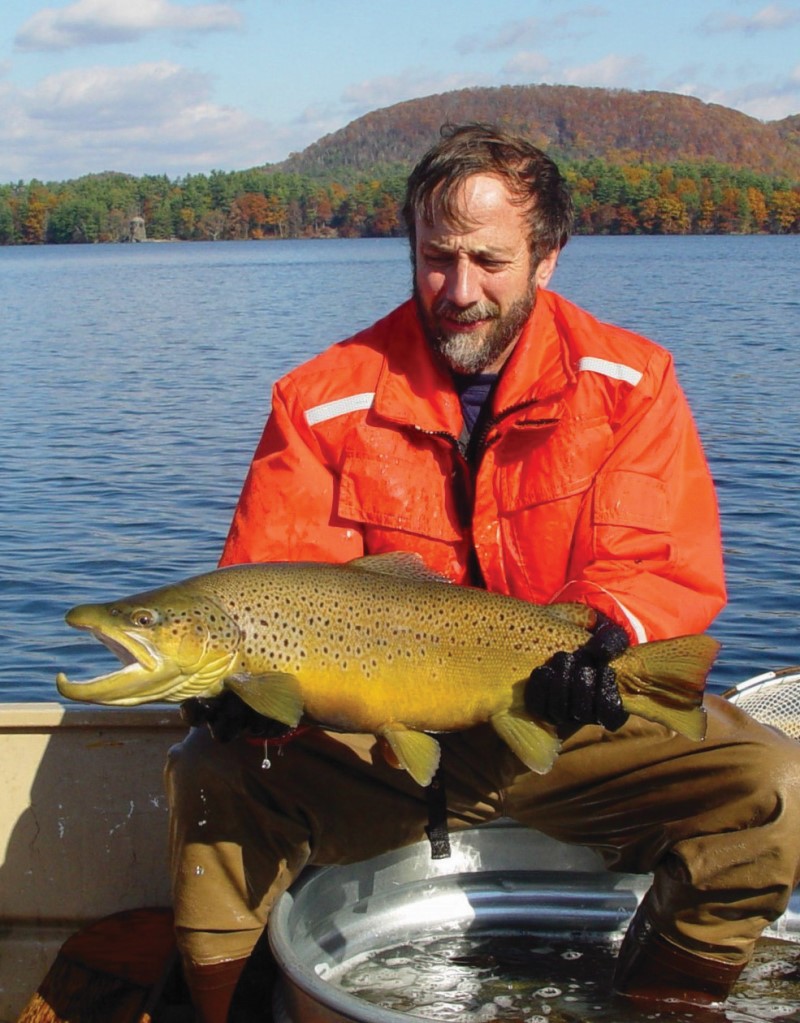 Biologist with large brown trout.