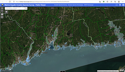 Image of the Marine Aquatic Invasive Species Survey Map Viewer.