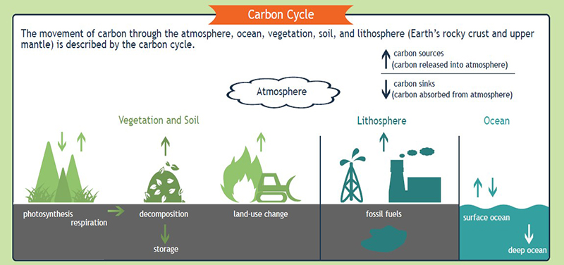 Diagram of the global climate cycle.
