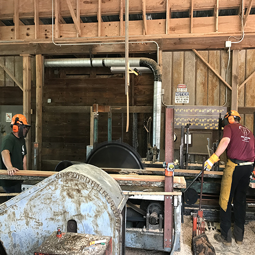 Sawyers working in a sawmill.