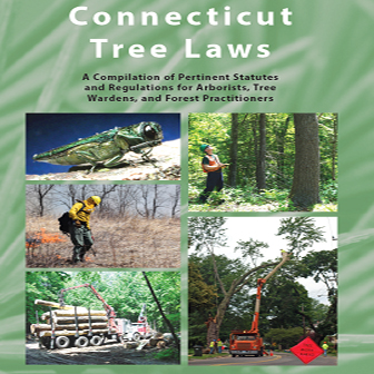 Image portraying tree laws in Connecticut.