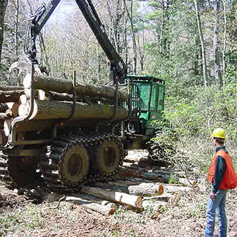 Forwarder crossing corderoy with a forester.