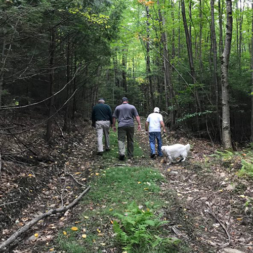 CT Service Forester walking with woodlot landowners 