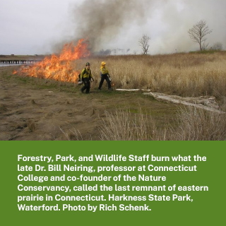Prescribed burn at Harkness State Park in Waterford