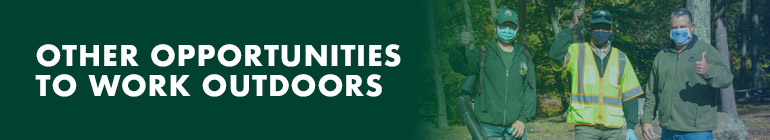Other opportunities header image