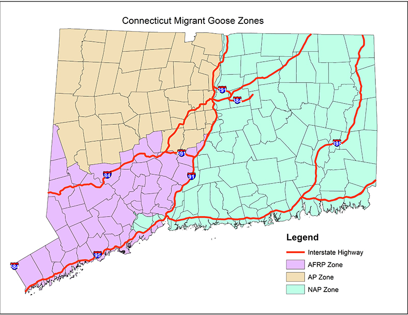 Map of Connecticut Migrant Goose Zones