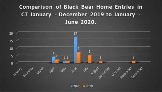 Graph showing comparison of black bear home entries from January to December 2019 to January to June 2020.