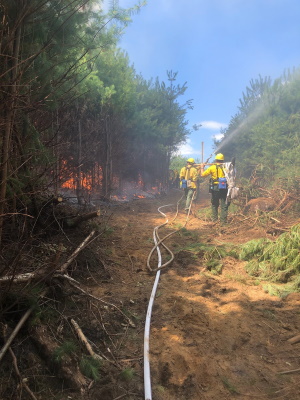 DEEP staff work to contain the recent Riverside Thompson fire.