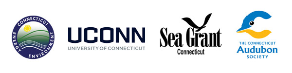DEEP, UCONN, Sea Grant, CT Audubon Society Logos