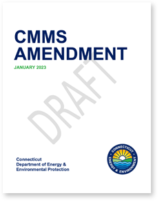 CMMS draft report cover