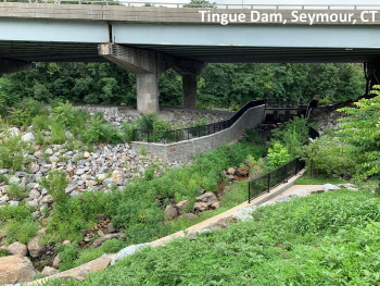 Tingue Dam