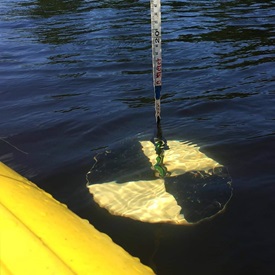 Image of a secchi disk being lowered from a boat in order to measure water clarity in a lake.