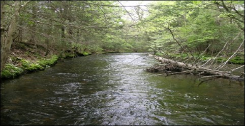 Photo from CT DEEP of the Fenton River with water flowing in 2021.