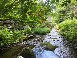 A beautiful small stream.
