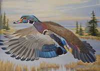 Painting of a male wood duck for the 2022 Connecticut Duck Stamp.