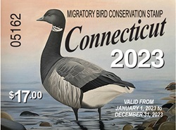 The 2023 Connecticut Migratory Bird Conservation Stamp, which features an Atlantic brant.
