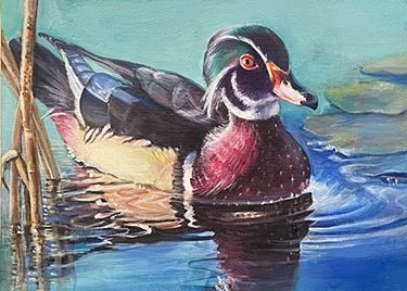 Painting of a wood duck by Justin Hyun.