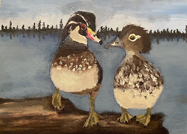 Painting of wood ducks by Estelle Filardi.