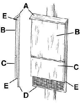 Illustration of the pieces used to construct a small bat house.