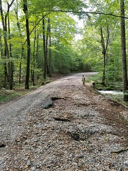 DelReeves Road within Meshomasic State Forest in East Hampton right after tropical storm Ida in September 2021, showing significant road damage.