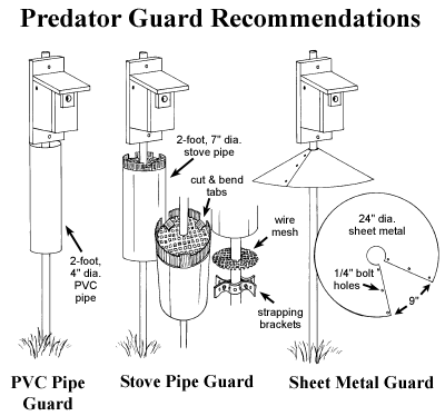 Illustration of predator guards for bluebird nest boxes