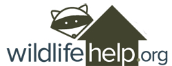 Logo for WildlifeHelp.org