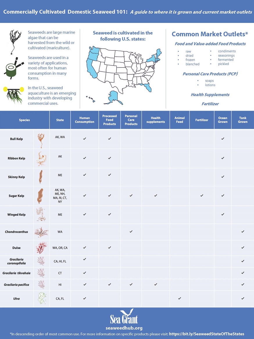 Seagrant Seaweed Infograph