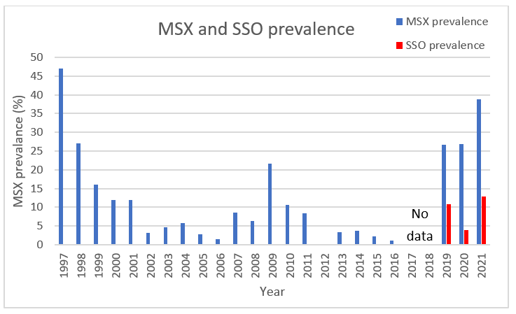 Connecticut Oyster MSX and SSO Prevalence