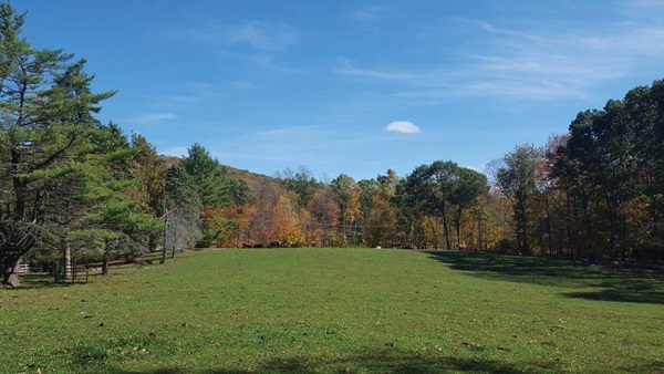 The main focus of the picture is a flat, green pasture with a slightly cloudy, blue sky above. The pasture is surrounded on the left, right, and far sides by trees with fall foliage. A white, wooden fence wraps around the pasture area. Dark colored cows can be seen in the far side of the pasture. 