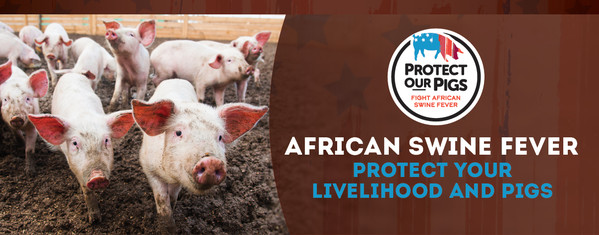 African Swine Fever - Protect Our Pigs