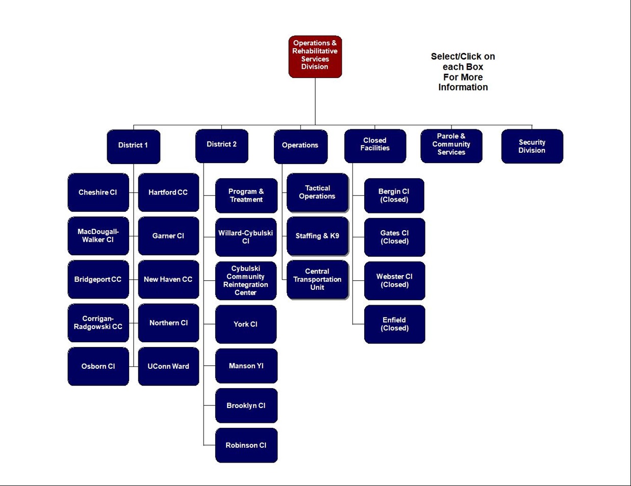 Organizational Chart Operation Organizational chart operation