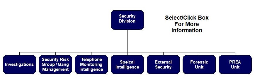 IT Security Organization Chart