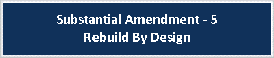 action plan amendment 5 button