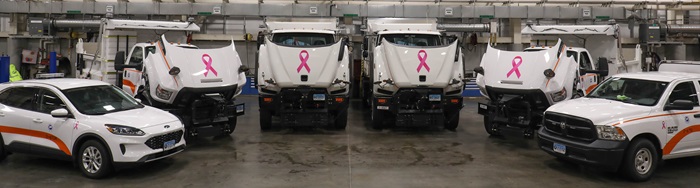 view of white CTDOT trucks with Pink Ribbons displayed on hoods and doors