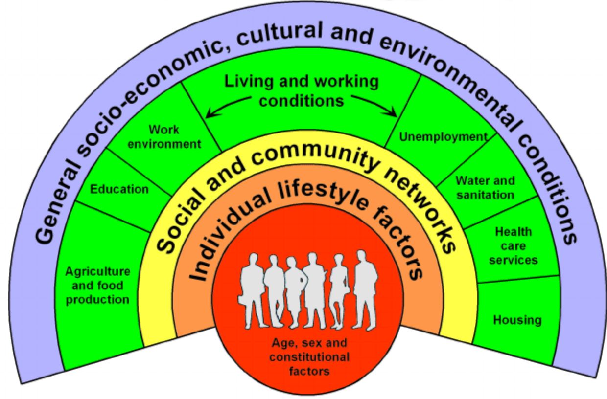 State Health Improvement Plan