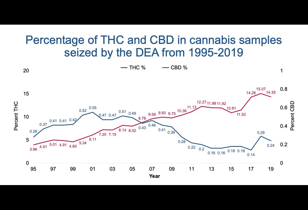 Chart displaying increase in cannabis potency over time