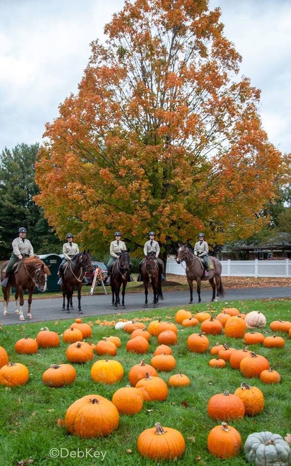 image is of troopers riding horses with a fall tree and pumpkins