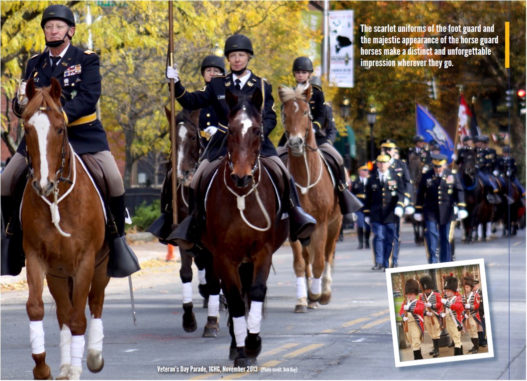 Horse Guard on Parade