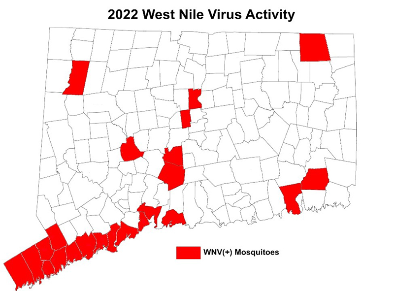 Map showing the Connecticut towns in which West Nile virus-infected mosquitoes have been detected in 2022.
