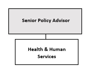 H&HS Divisional Structure