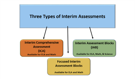 Image of three types of interims: ICA, IAB and focus blocks.  