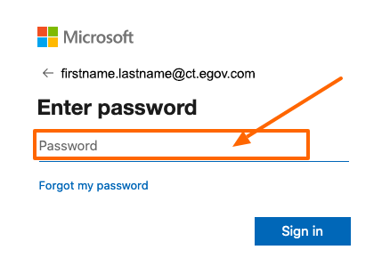 Login Password Screen