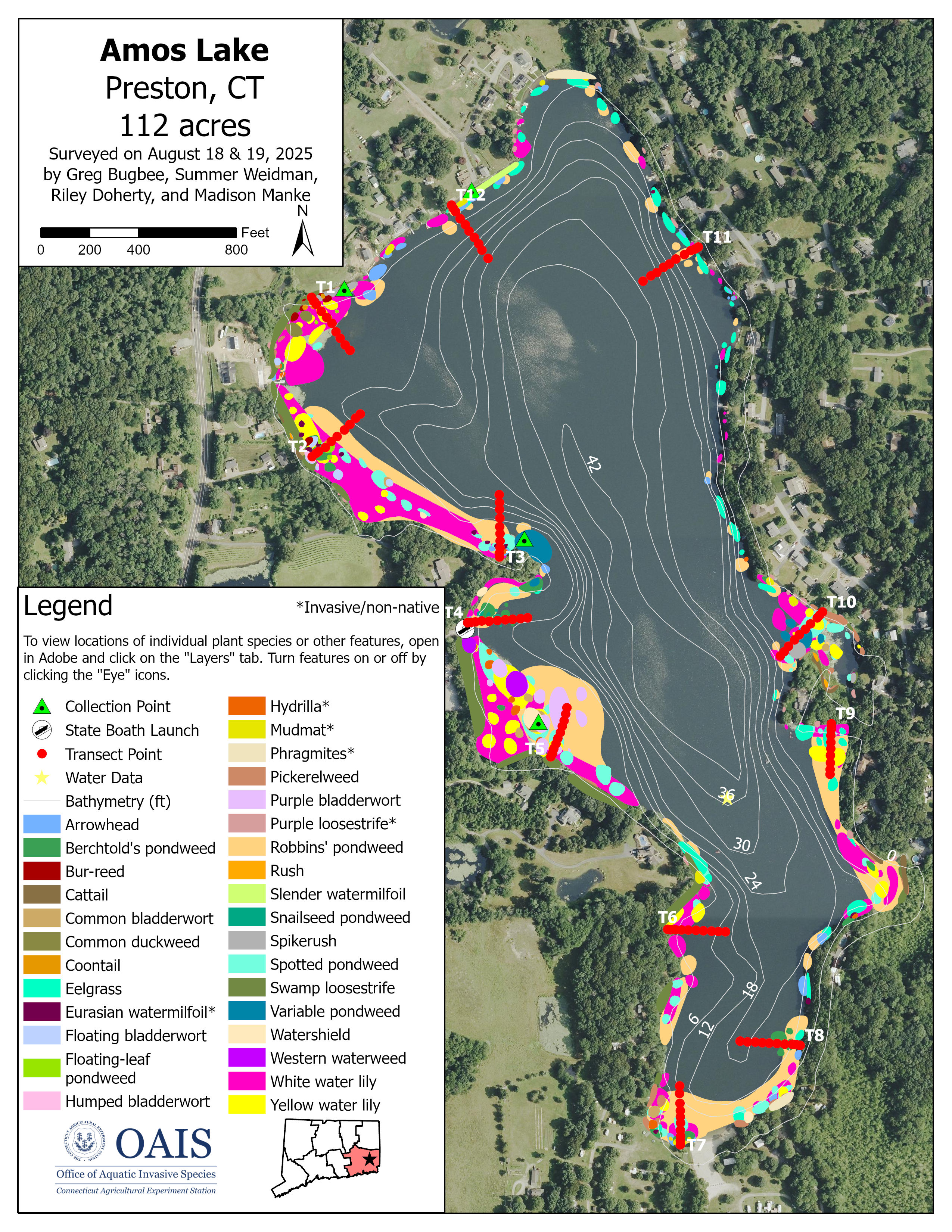 Vegetation survey map of Amos Lake in Preston, CT. 