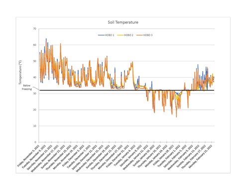 Graph of sediment temperatures from November 2021 - February 2022 at Beseck Lake, Middlefield.